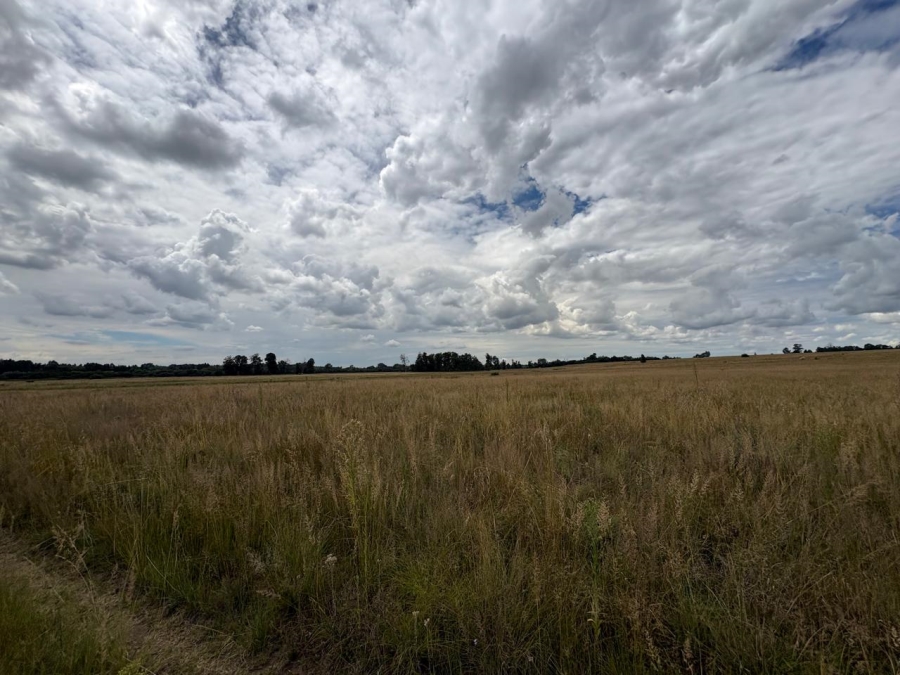 0 Bedroom Property for Sale in Vaalpark Free State